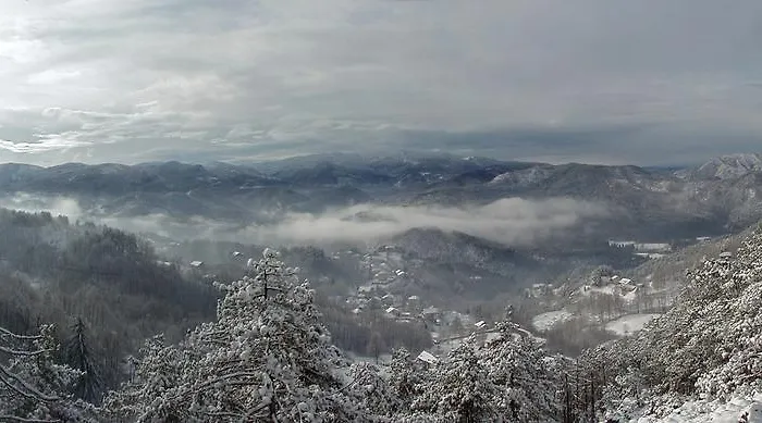 Margherita 2*